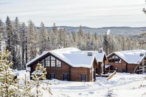 イドレにあるBrunbjörnen Lodge med bastu och utsikt i Idreの雪の丸太家
