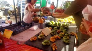 Φαγητό σε αυτή η παραθεριστική κατοικία ή κάπου εκεί κοντά