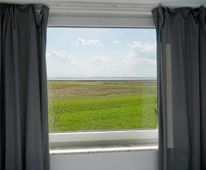 a window with a view of a green field at Ferienwohnung-Memmert in Baltrum