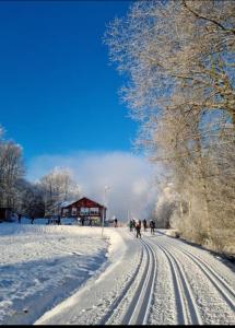 a group of people walking down a snow covered road at Villa Margit ground floor apartment in Tvååker