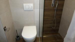 um banheiro com vaso sanitário e chuveiro em Apartman studio KOPS em Vranješ