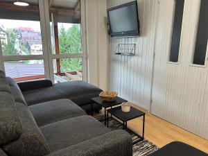 un salon avec deux canapés et une télévision à écran plat dans l'établissement Apartmán Malatiná, à Malatiná 10 autres photos