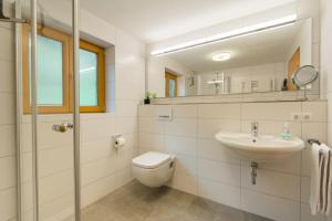 a bathroom with a sink and a toilet and a mirror at Berghof Mehlan in Fischen +49 photos