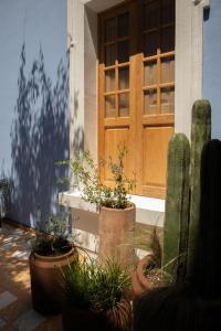 Afbeelding uit fotogalerij van Calle y Número, López Cotilla in Guadalajara +142 foto's