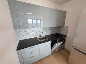 une cuisine avec un évier et un plan de travail dans l'établissement Eurovea Tower apartment, à Ovsište 8 autres photos