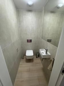 une salle de bains avec toilettes et lavabo dans l'établissement Eurovea Tower apartment, à Ovsište