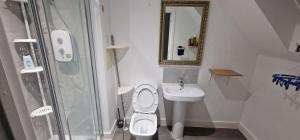 een badkamer met een toilet, een wastafel en een spiegel bij Solid Mirror Home Milton Keynes in Bletchley +14 foto's