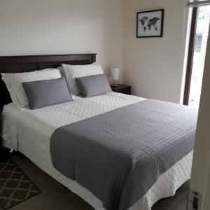 ein Schlafzimmer mit einem großen Bett mit zwei Kissen in der Unterkunft Claro Centro Temuco in Temuco