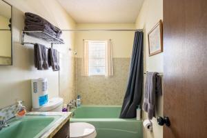 bagno con vasca verde, servizi igienici e lavandino di LaRue's Private Lakeside Cottage ad Abbeville Altre 71 foto