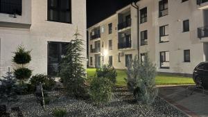 En have udenfor Felicia Apartments