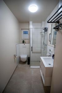 a bathroom with a shower and a toilet and a sink at Ferienwohnung - Ewigkeit in Minden +12 photos