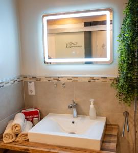 a bathroom with a sink and a mirror at Gemütlichkeit in Heltersberg +21 photos