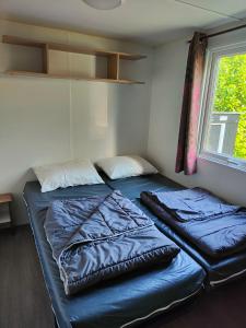 ein großes Bett in einem kleinen Zimmer mit Fenster in der Unterkunft La Petite Maison du Park in Boofzheim