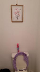 a toilet with a purple seat and a picture on the wall at Nassau Homestay in Opa-locka