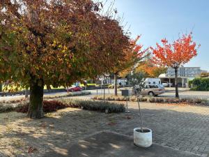 Gallery image of Luterbach Rooms in Luterbach