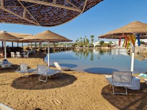 a group of chairs and umbrellas on a beach at Oasis Domina Coral Bay in Sharm El Sheikh