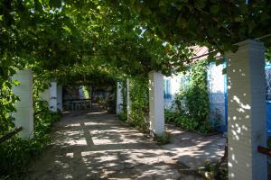 an arbor with ivy on a white building at La Lipoveni in Jurilovca