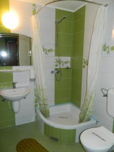 a bathroom with a shower and a toilet and a sink at Cora Centru Pitesti in Piteşti