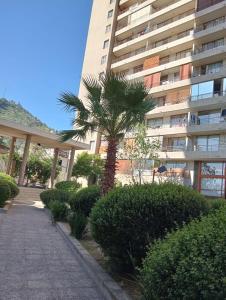 a palm tree in front of a large building at Recoleta Urban Suite in Santiago