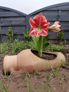 Fotografie z fotogalerie ubytování Luxury residence v destinaci Talendjast