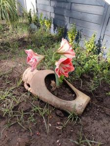 Fotografie z fotogalerie ubytování Luxury residence v destinaci Talendjast + 21 fotografií