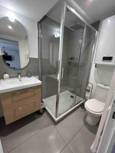a bathroom with a shower and a toilet and a sink at Le Loft d'Orsay in Orsay