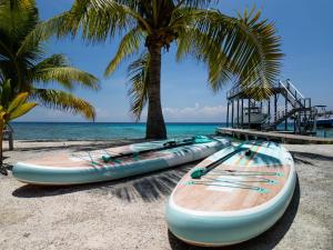 a row of kayaks on a beach with palm trees at The Hacienda Beach Resort in Utila