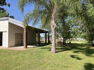 a palm tree in a yard next to a building at Casa de playa Camping Chajarí in Santa Ana