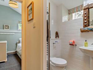 a bathroom with a toilet and a sink at 4 Bed in Bucks Mills 60643 in Bucks Mills +18 photos