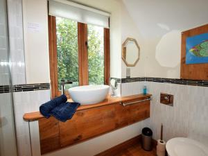 ein Badezimmer mit Waschbecken und Fenster in der Unterkunft 1 Bed in Knighton 58997 in Whitton