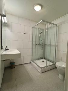 a bathroom with a shower and a toilet and a sink at Tanabrew in Tana