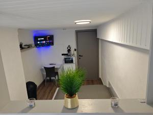 a living room with a table and a plant at Chambre équipée pour 2p in Ostend