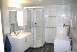 een badkamer met douche, wastafel en toilet bij Arctic Wonderland in Senja +69 foto's