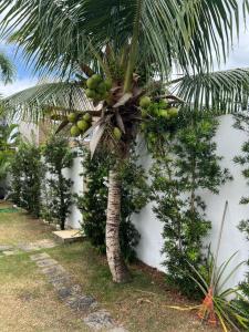 Zahrada ubytování Casa com piscina privativa condomínio , Barra do Jacuipe