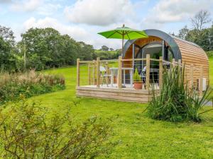 a gazebo with a green umbrella in a field at 1 Bed in New Quay 78189 in Lampeter