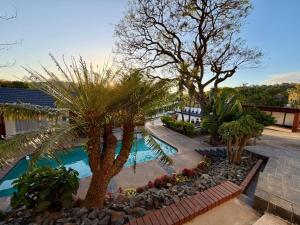 un resort con piscina e palme di On The Moon Hospitality and Conference Facility a East London