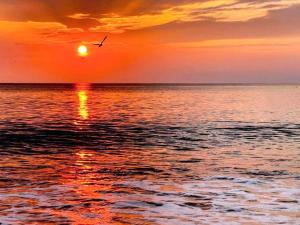 UlfborgにあるLuxury Pool House Retreat - By Traum Ferienwohnungenのギャラリーの写真