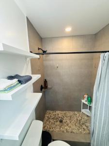a bathroom with a shower and a toilet and a sink at Hibiscus Hale - Perfect for 2! in Waialua