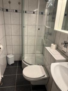 a bathroom with a toilet and a shower and a sink at Ferienwohnung Studio 205 im Taunusblick in Lahnstein