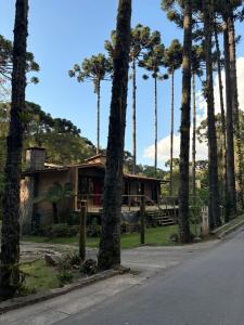 a house with palm trees on the side of the road at Recanto Bellagio in Campos do Jordão