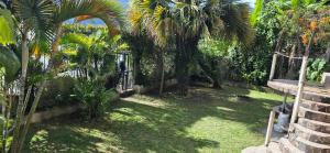 un jardín con palmeras y una valla en La casa del tío, en San Juan La Laguna