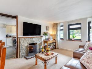 a living room with a fireplace and a television at 3 Bed in Okehampton TCOAH in Broadwoodwidger