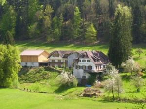een groot huis op een heuvel met een groen veld bij Landgasthaus zum Engel in Freiamt