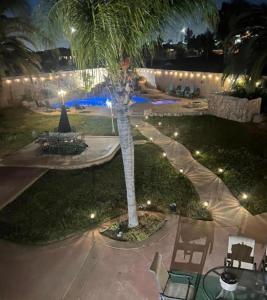 a palm tree in a courtyard at night at Home Away From Home in Eastvale
