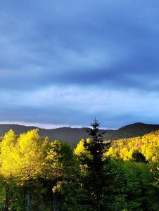 Gallery image of President Kop Apartman 106 in Kopaonik