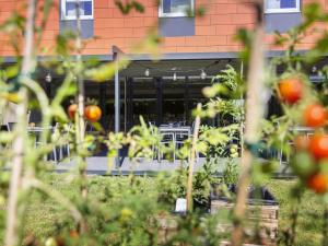 a table and chairs in a garden with tomatoes at ibis budget Lyon Est Chaponnay in Chaponnay