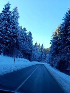 Gallery image of President Kop Apartman 106 in Kopaonik