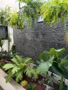 Billede fra billedgalleriet på El Suburbio - Aldama i Morelia