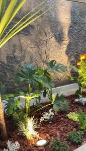 Billede fra billedgalleriet på El Suburbio - Aldama i Morelia