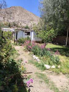einen Garten mit Blumen vor einem Haus in der Unterkunft Casa de Altura in Tilcara + 9 Fotos